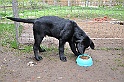 mladicki_18.08.2010_062