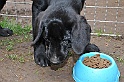 mladicki_18.08.2010_063