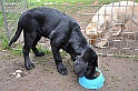 mladicki_18.08.2010_064