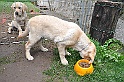 mladicki_18.08.2010_065